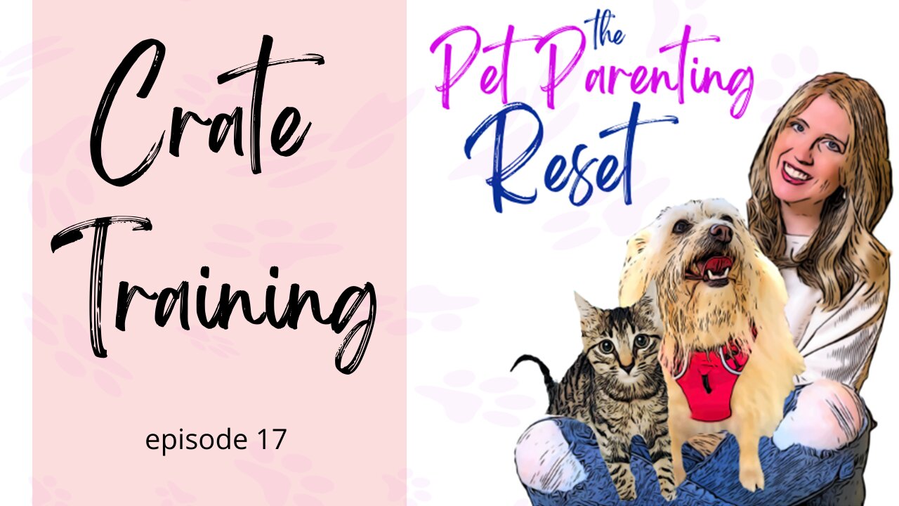 Crate Training Your Dog Why To Train & Why NOT To Train | The Pet Parenting Reset, episode 17