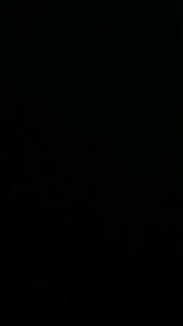 Civil defense attorney