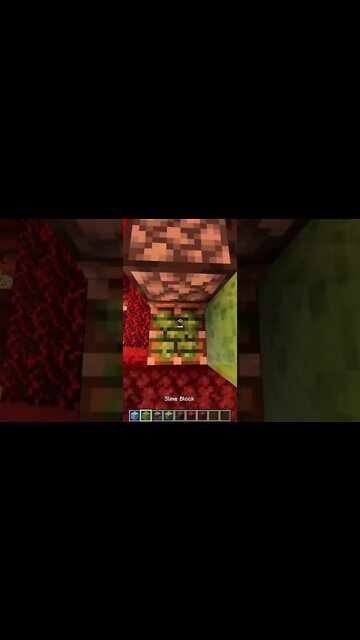 Minecraft #tiktok #Shorts