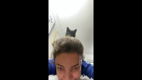 My cat Jose found a perfect spot to rest… MY BACK