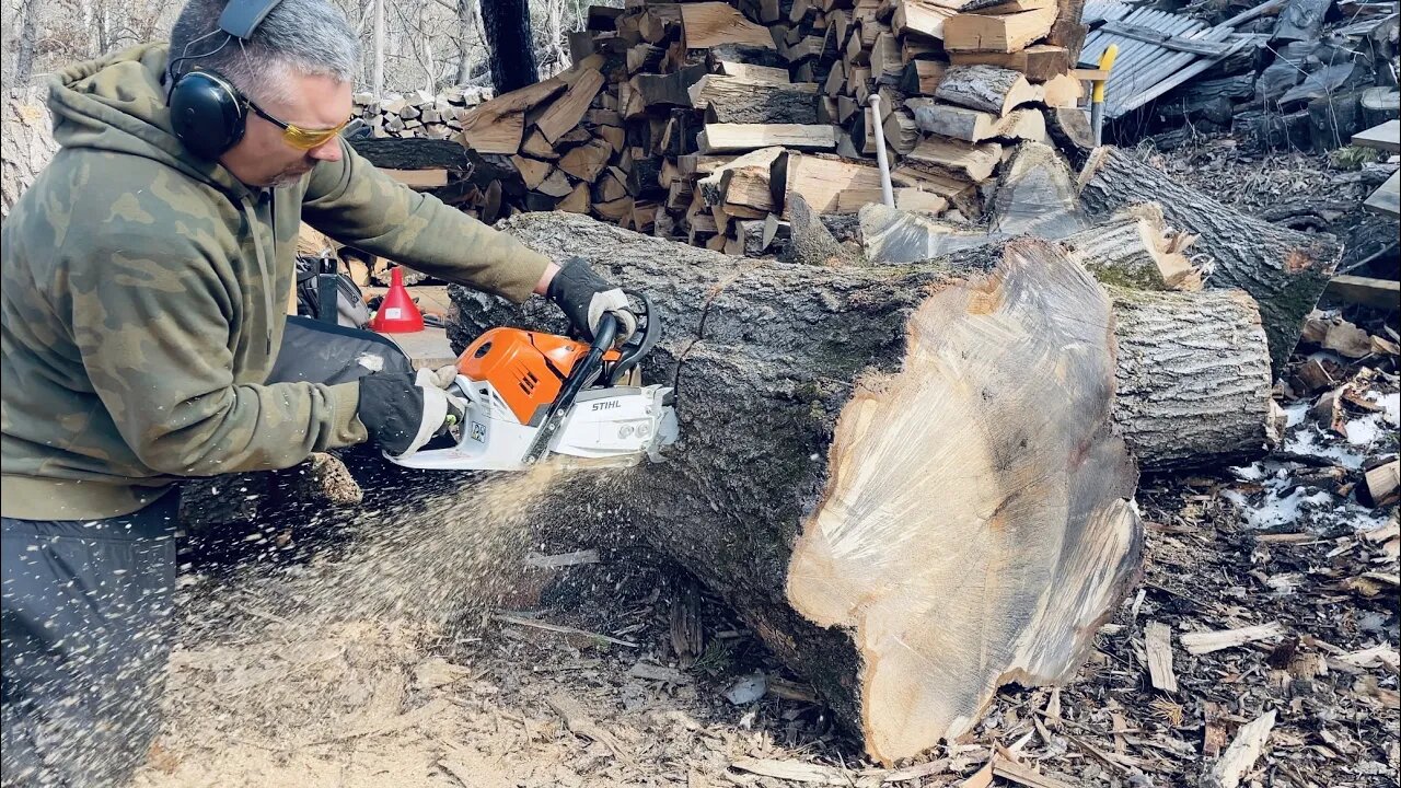 Chainsaw Gone Wild - Sharp Chain in Big Wood