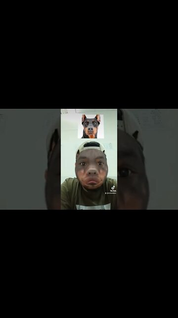 Just for fun! Don't be mad! #shorts