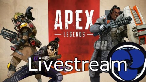 Apex Brothers | Finally convinced Rabbit to play