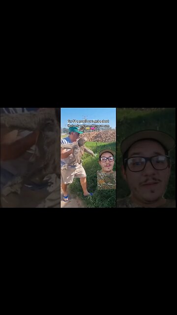 New animal content every day??