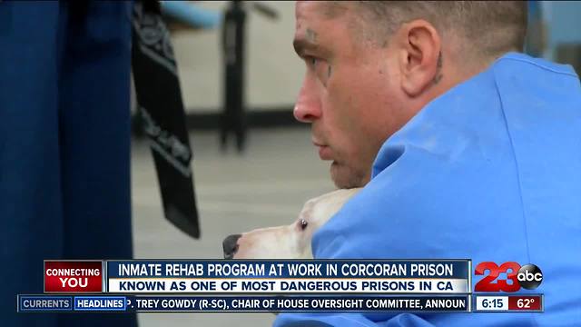 Inmate rehab program at work in Corcoran Prison