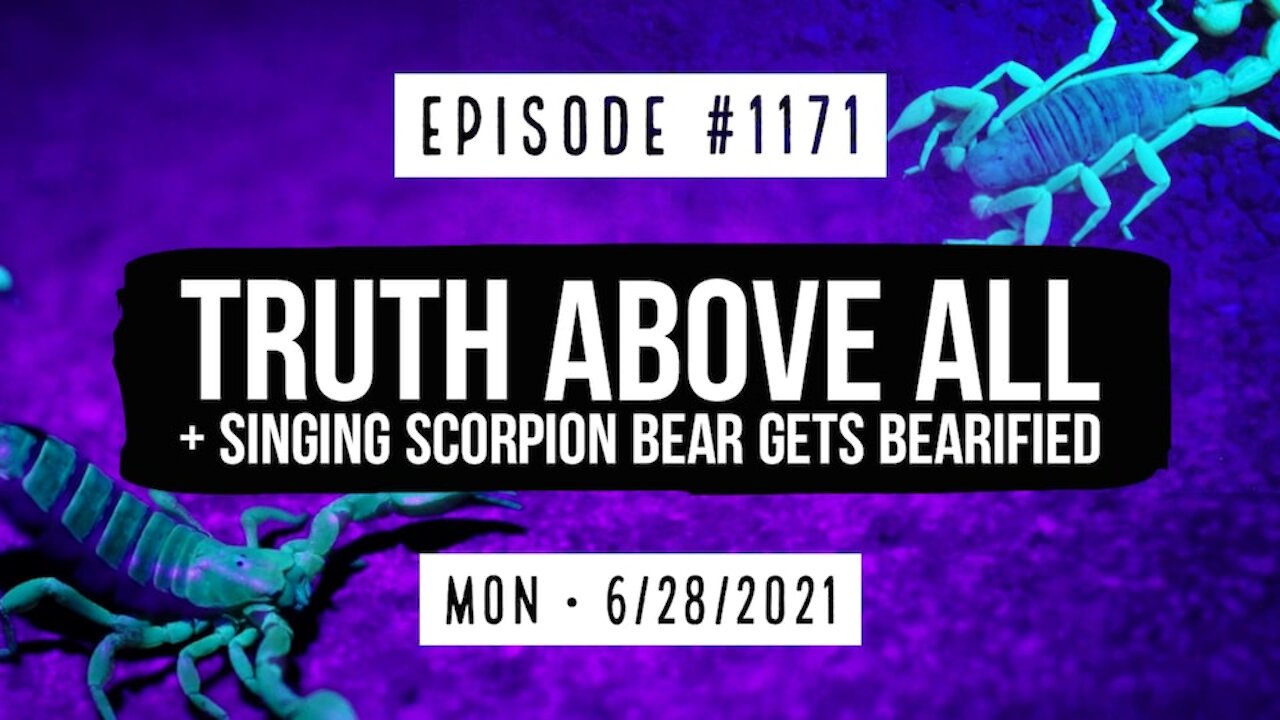 #1171 Truth Above All & Singing Scorpion Bear Gets Bearified