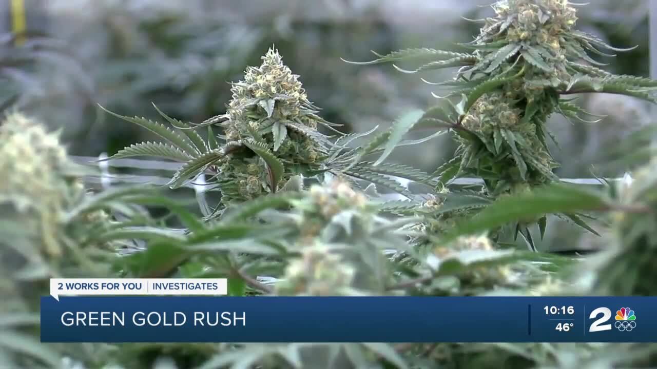 Green Gold Rush: The debate over recreational marijuana in Oklahoma