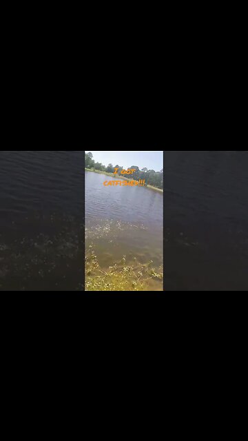 I got catfished while bass fishing