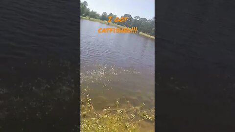 I got catfished while bass fishing