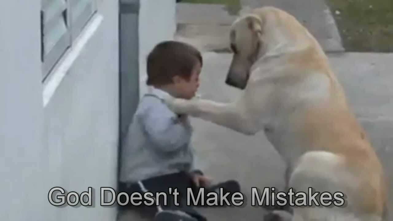 Sweet Mama Dog Interacting with a 3yo DS child From Jim Stenson.