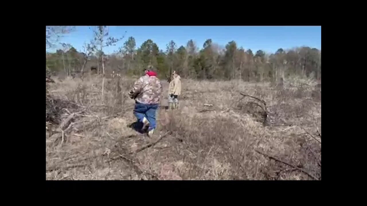 Tracking a Coyote On a Drag