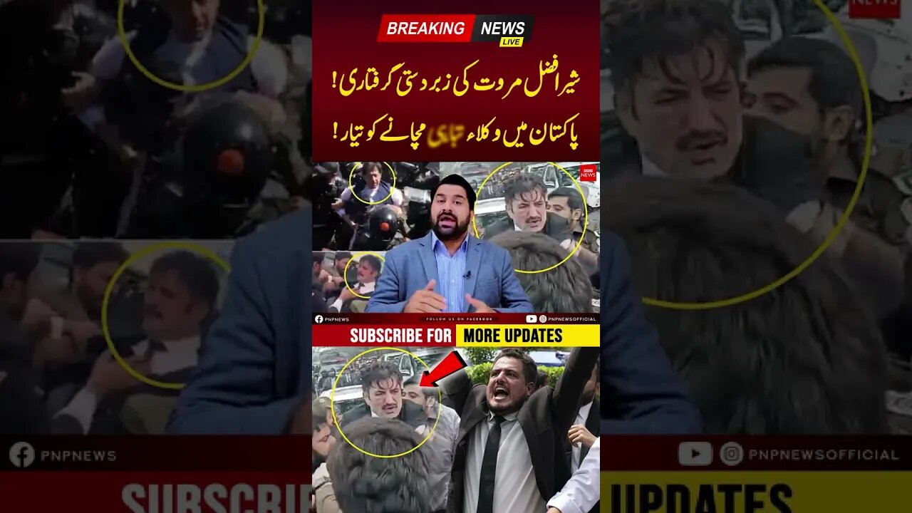 Effects Of Sher Afzal Marwat Arrest #imrankhan #pakistanzindabad #sherafzalkhanmarwat #youtubeshorts