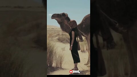 #Shorts-The beauty of the desert