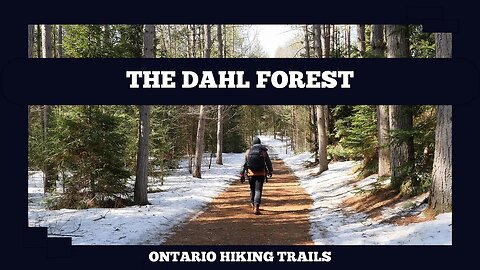 The Dahl Forest Hiking In Spring On The Upper Burnt River