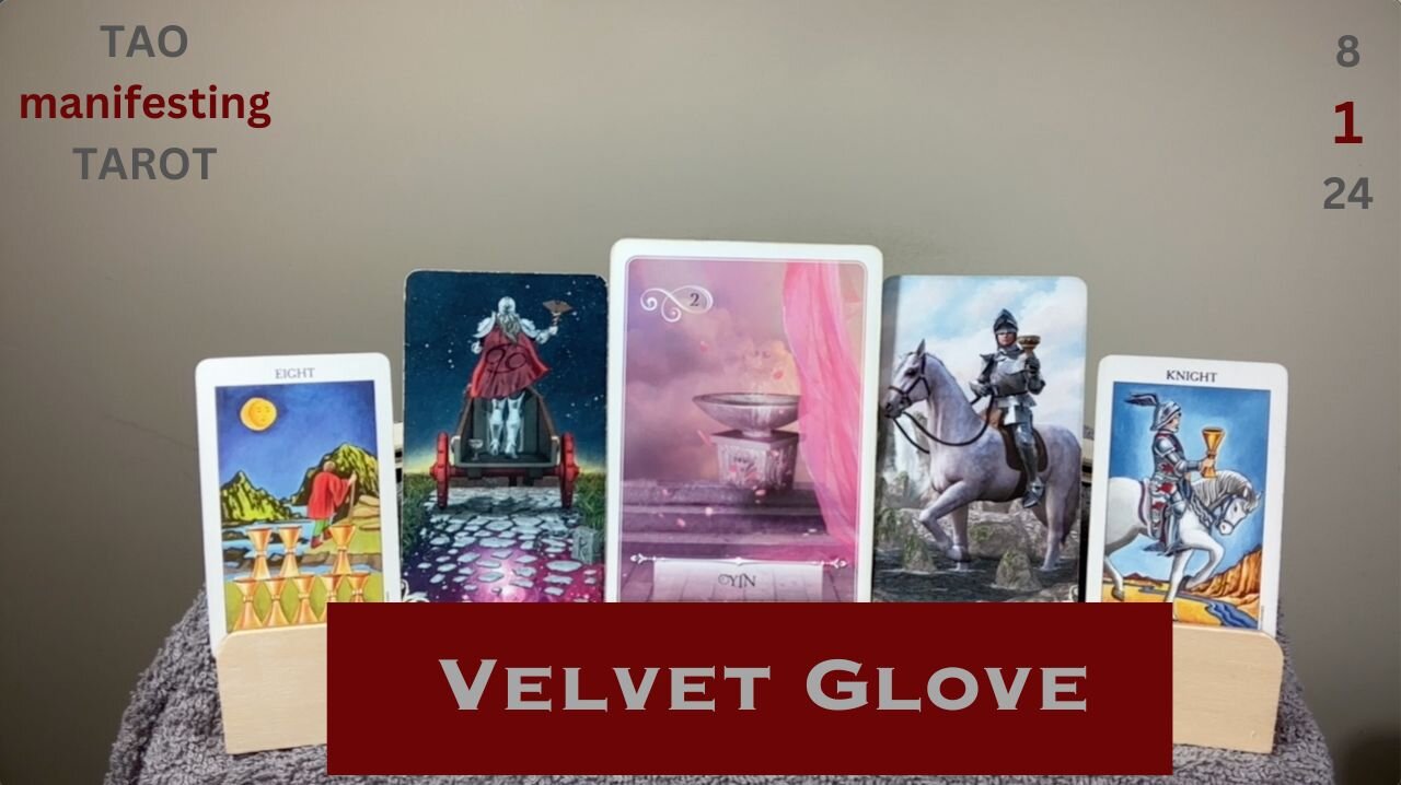 VELVET GLOVE