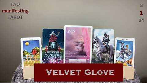 VELVET GLOVE