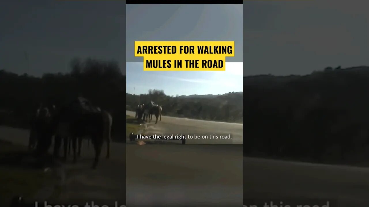 Arrested For Lawfully Traveling... With MULES!? - Lawsuit!