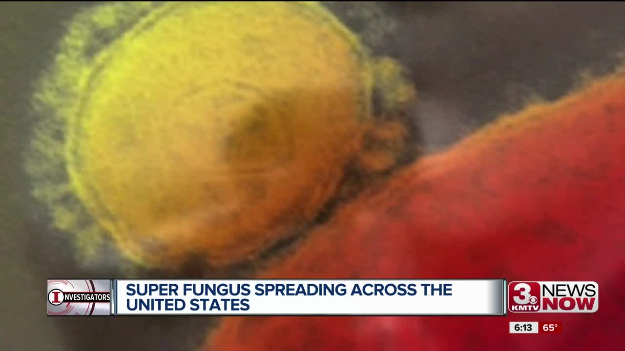 Deadly Fungus Spreading Across Country