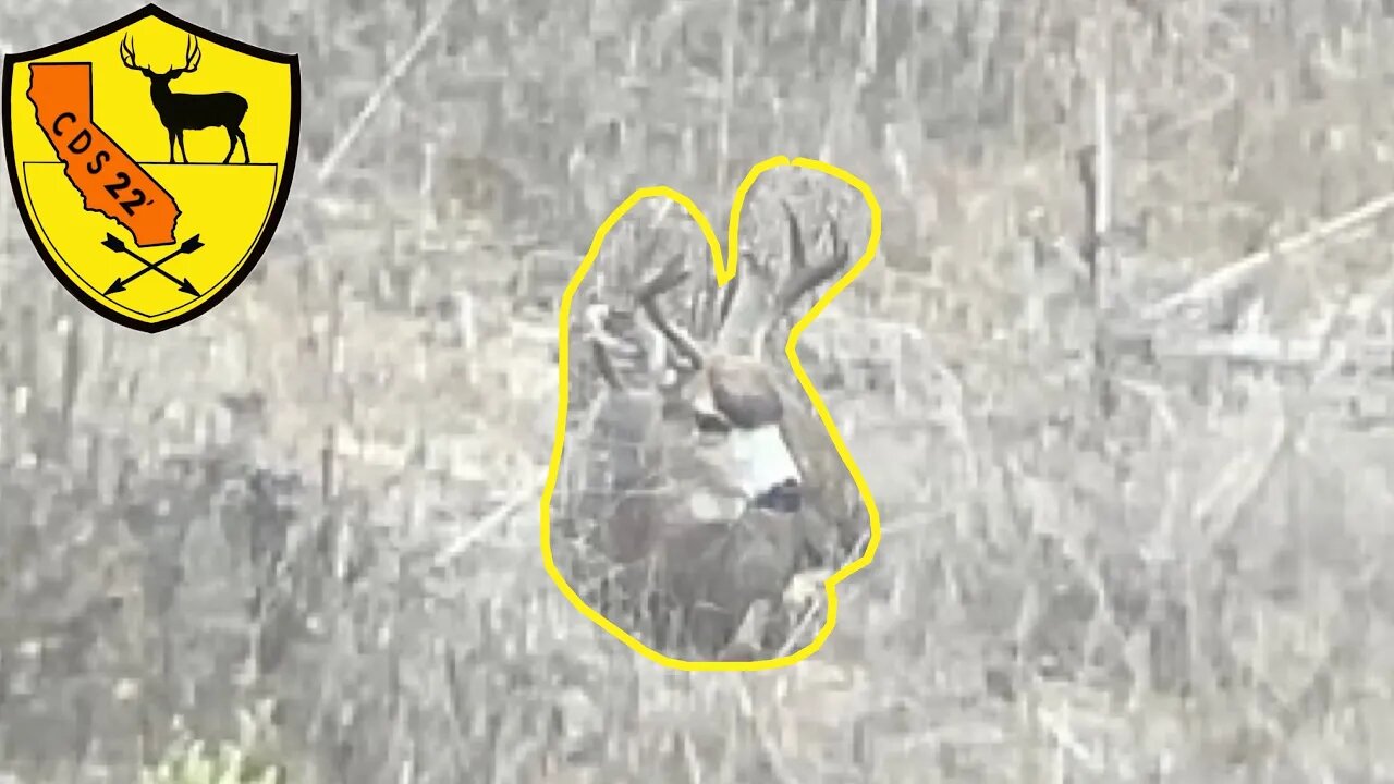 Patience is key and I lost it. SoCal Mule Deer Hunt |CDS 22' EP 9|