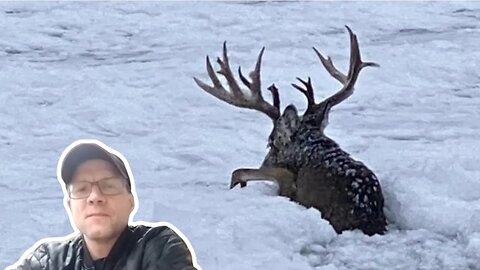 Chef Beier recaps GIANT Minnesota buck saved from certain death.