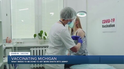 Vaccinating Michigan