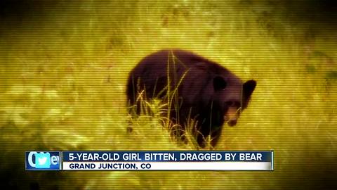 5-year-old girl suffers serious injuries in Colorado bear attack