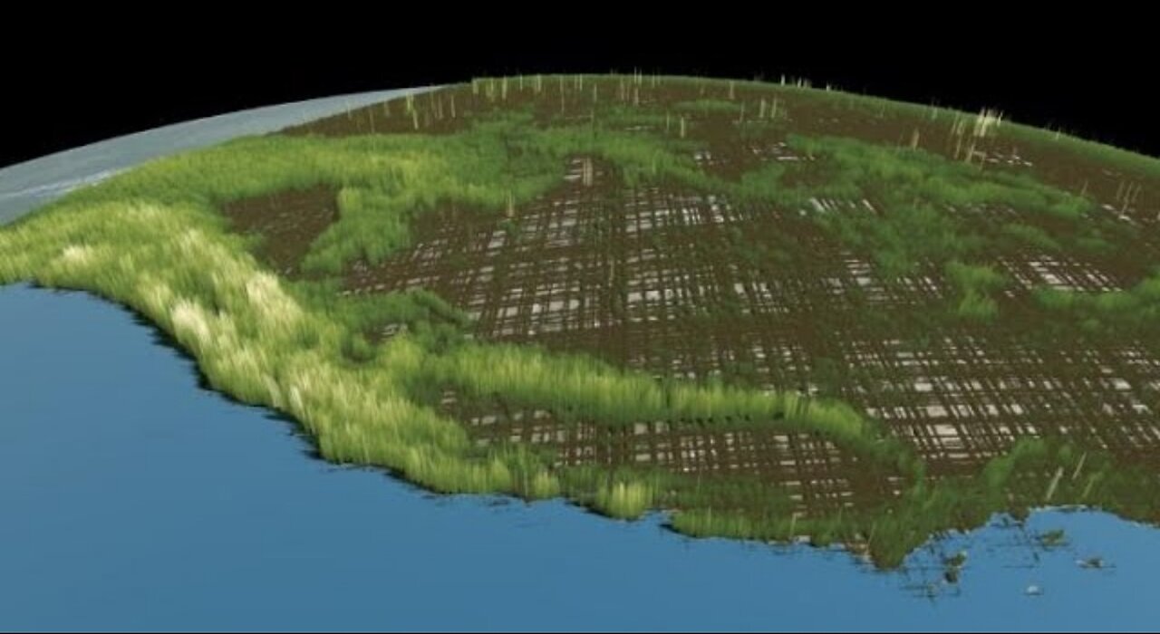 Nasa teams with forest service to tally America's oldest trees