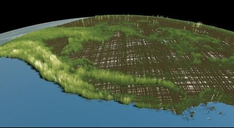 Nasa teams with forest service to tally America's oldest trees