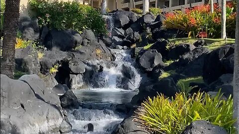 A POOL DAY AT THE GRAND HYATT KAUA’I