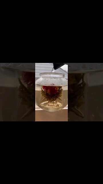 🫖 What's Blooming in My Tea ?? #shorts | Rack of Lam