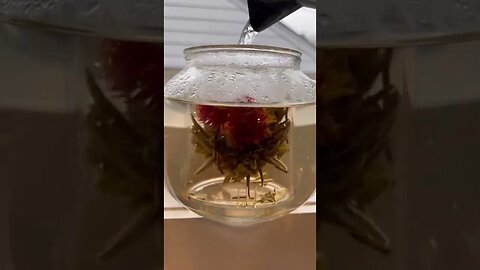 🫖 What's Blooming in My Tea ?? #shorts | Rack of Lam