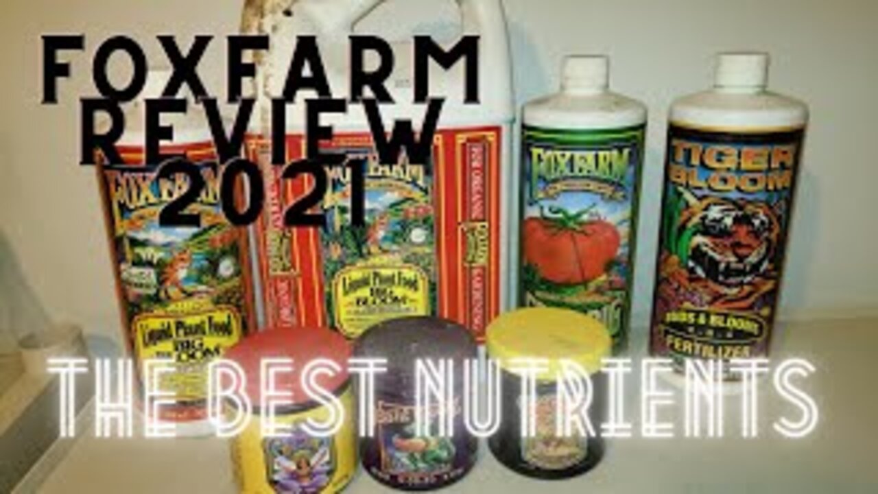 FoxFarm Nutrients Review | Why I Switched Back From The Rock Nutrients