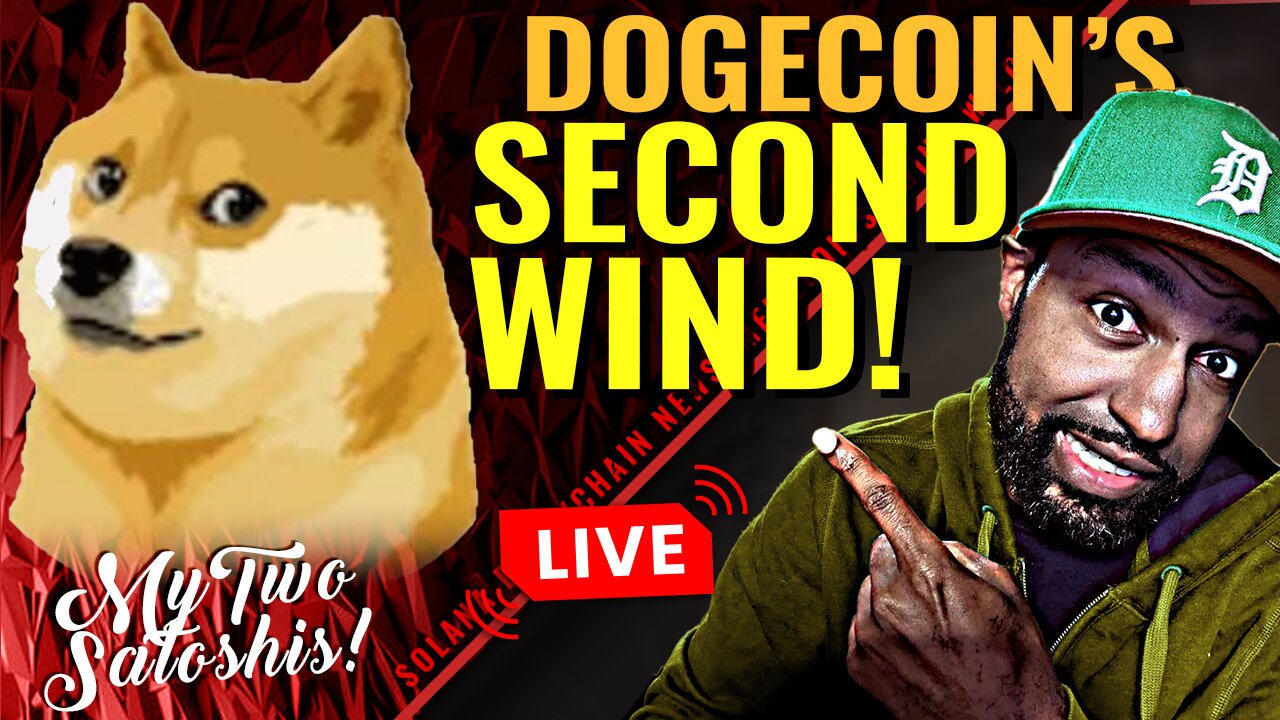 It's Doge Day Again? Twitter Hints at Doge Payment Option | Revival or Pump & Dump?