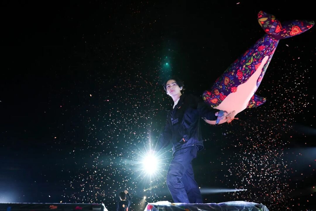 BTS V GOES CRAZY ON HARRY STYLES CONCERT...