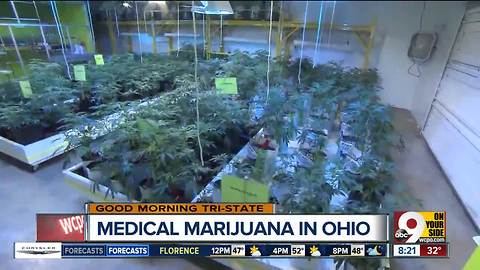 Insider Report: Where do Cincinnati doctors stand on prescribing medical marijuana?