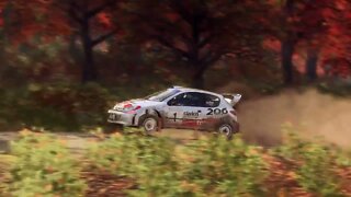 DiRT Rally 2 - Replay - Peugeot 206 at Hancock Creek Burst