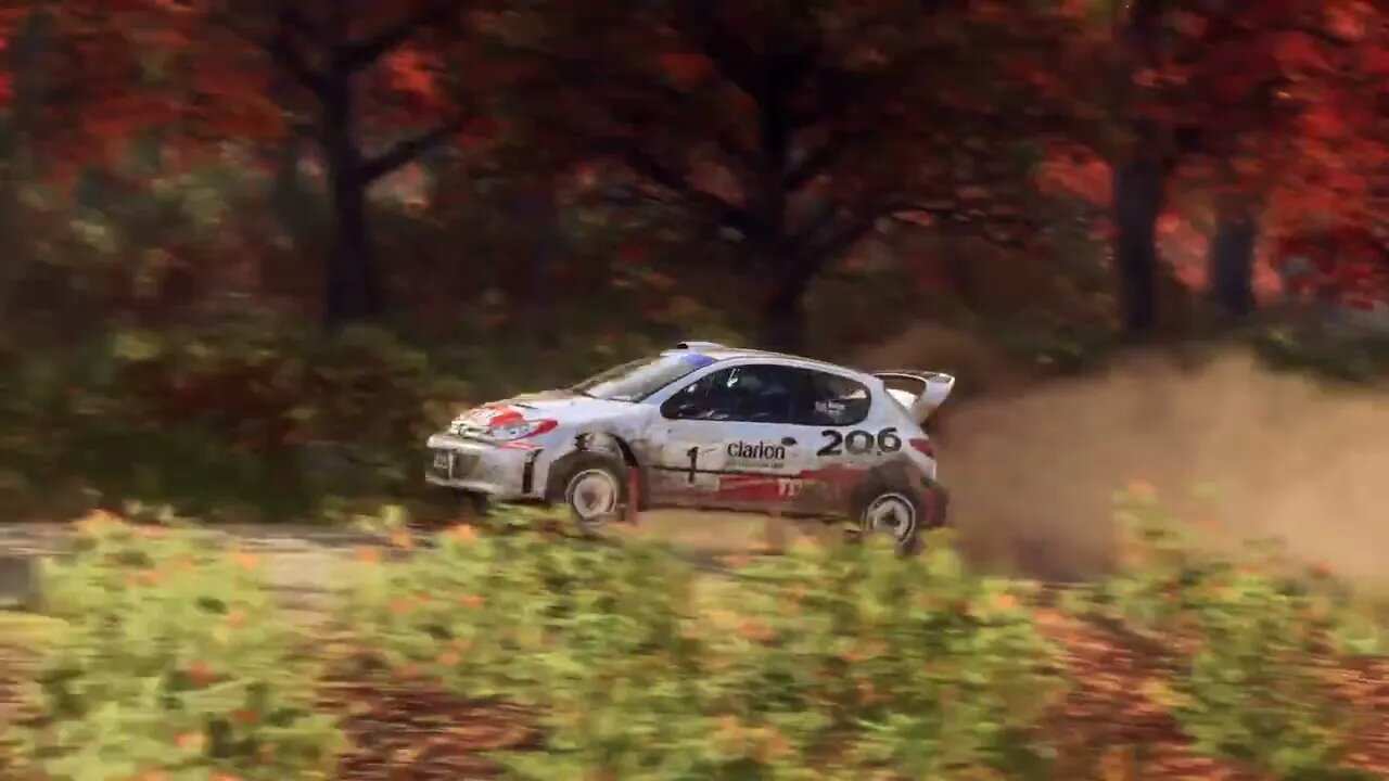 DiRT Rally 2 - Replay - Peugeot 206 at Hancock Creek Burst