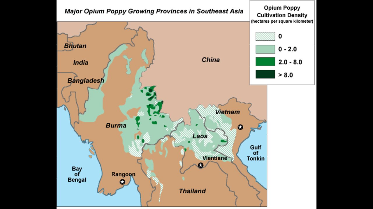 Heroin production explained DOCUMENTARIO