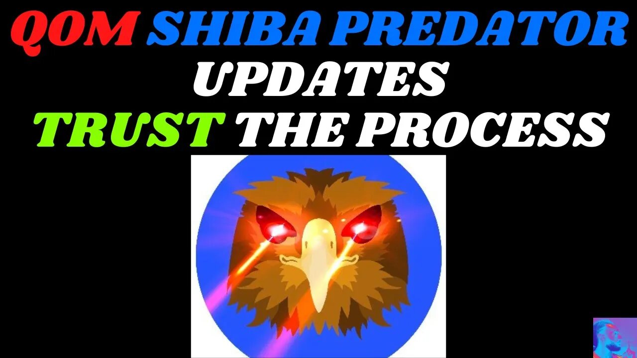 QOM SHIBA PREDATOR updates, Trust the Process