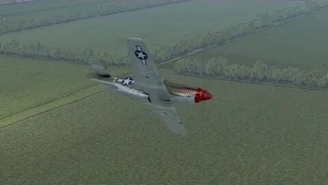 P51B (IL-2 Normandy)