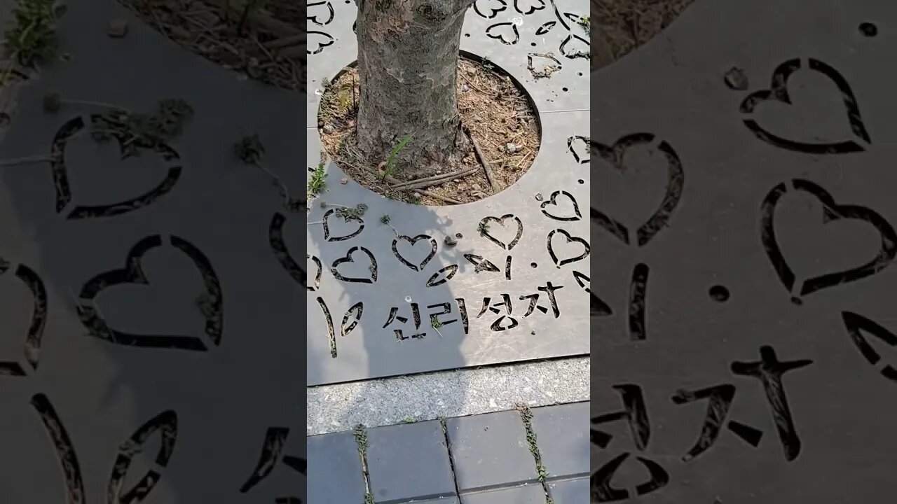 충남 당진 신리성지 주차장