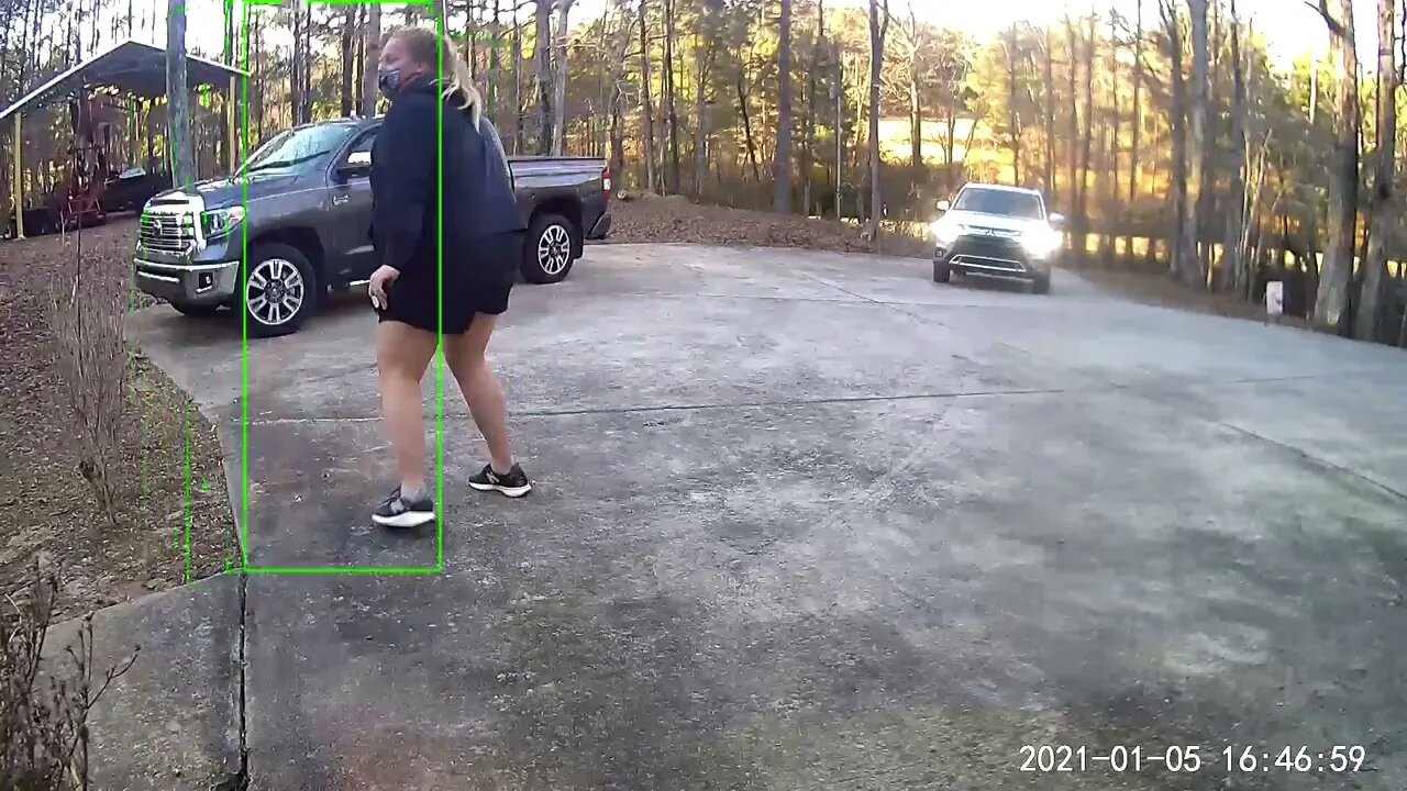 Poll Taker Being Chased by Guinea Fowl | Funny Girl Runs In Fear