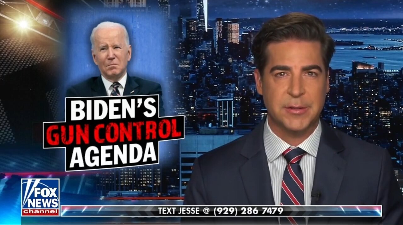 Watters: Dems Want To Disarm You During The Crime They Created