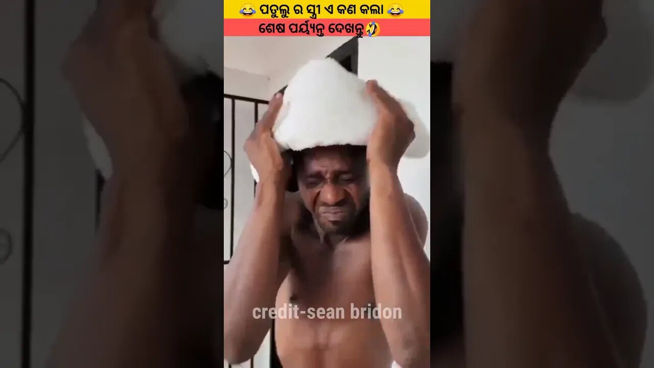 ପତୁଲୁ ସହ ଏ କଣ ହେଲା🤣#shortsfeed#odia#shorts#youtubeshorts#gapa#odiagapa#natiacomedy#odiavlog