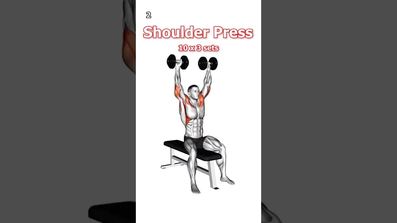 Dumbbell Workout #dumbbellworkout