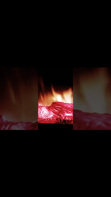 #Alicethedogandelizardbeththe🕊️