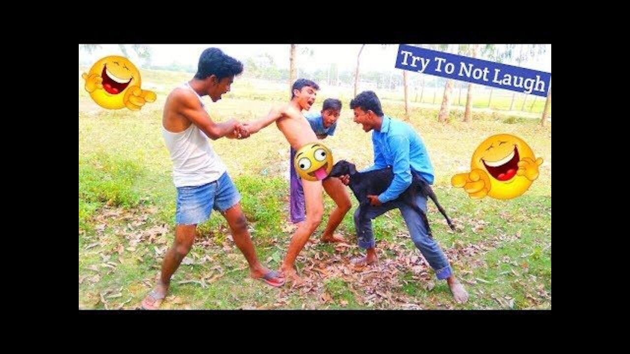 #Funny video รวมคลิปตลก คลิปฮาๆ คลิปขำๆ คลิปแกล้งคน ตลกๆ