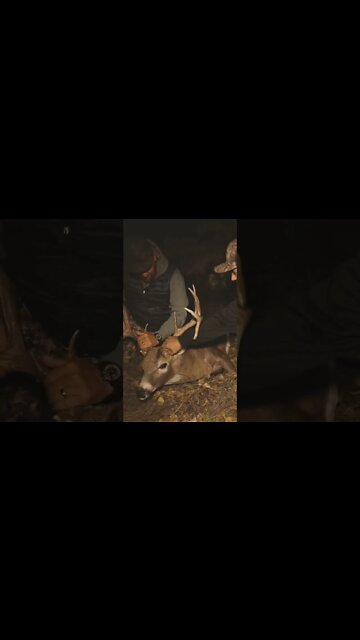 What Dreams Are Made Of With A Buck Of A Lifetime!