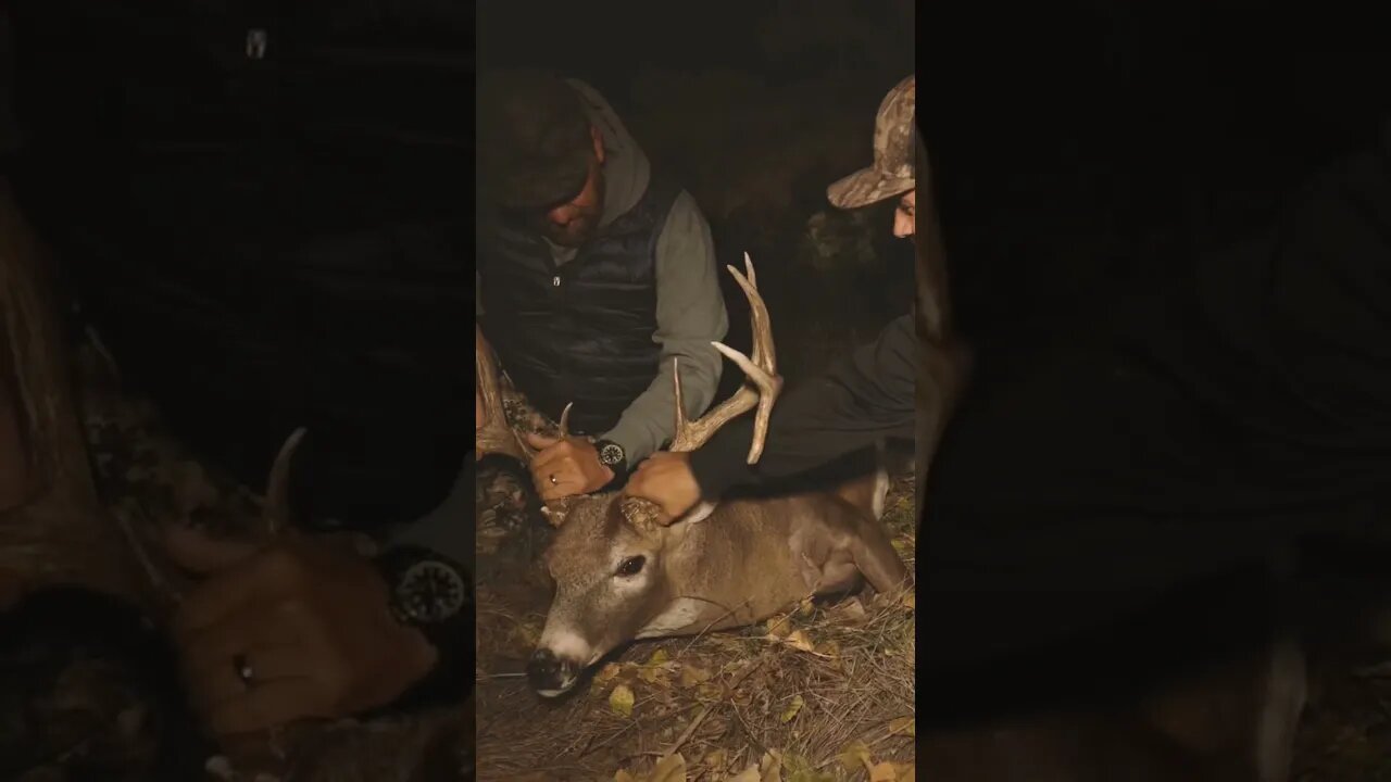 What Dreams Are Made Of With A Buck Of A Lifetime!