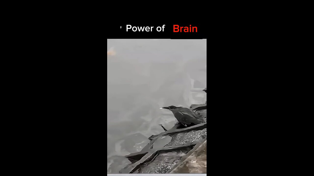 Power of Brain 🧐🧐